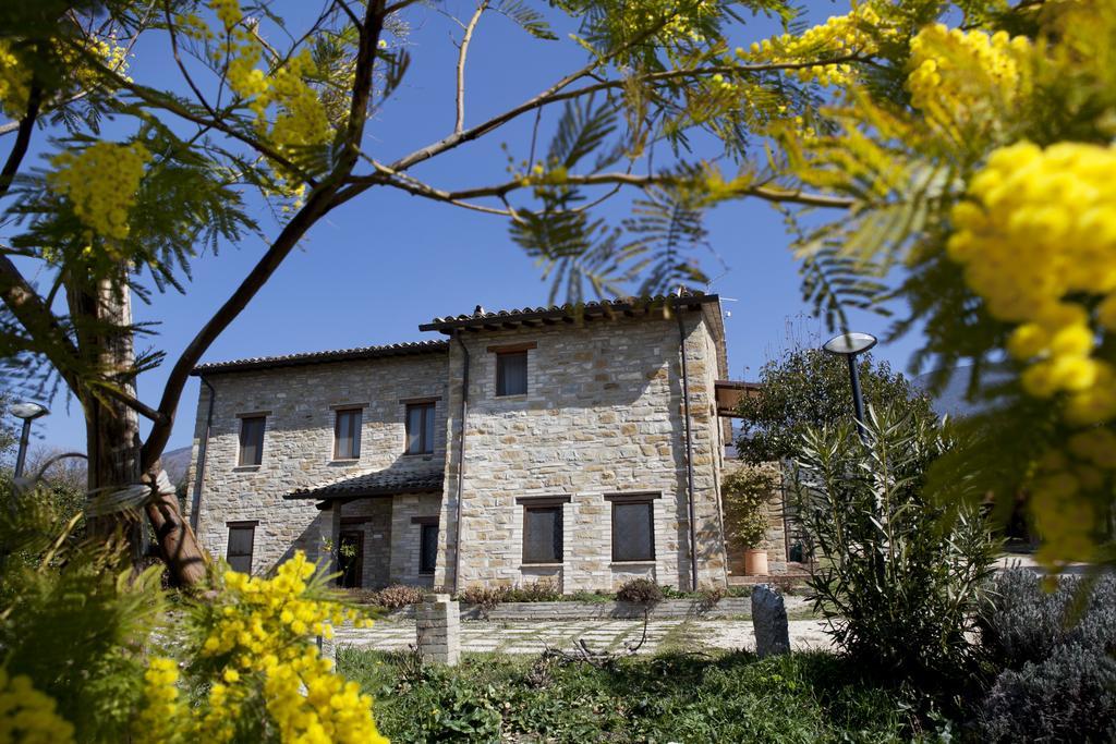 Villa Rosy อัสซิซี ภายนอก รูปภาพ